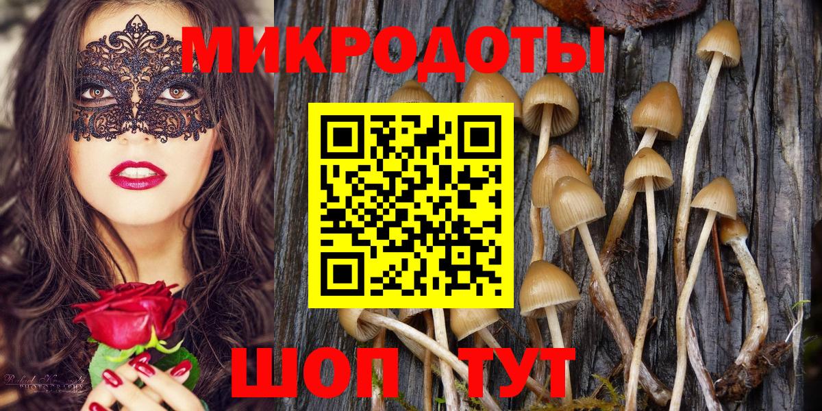 Киселёвск  Псилоцибиновые грибы ЛСД  Вход с VPN  Галлюциногенные грибы ЛСД 